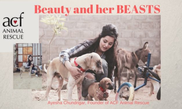 Beauty and her BEASTS, Ayesha Chundrigar SAVES Animals